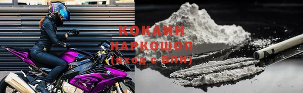 твердый Богородск