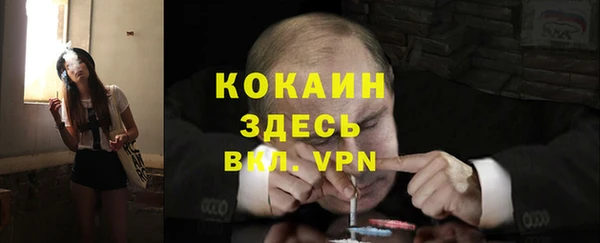 твердый Богородск