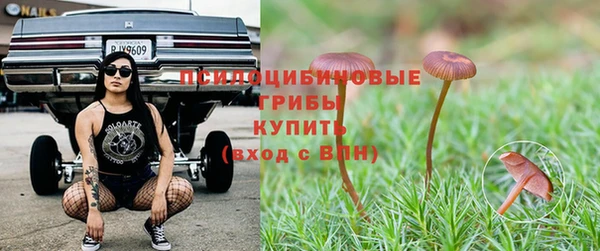 герыч Богданович