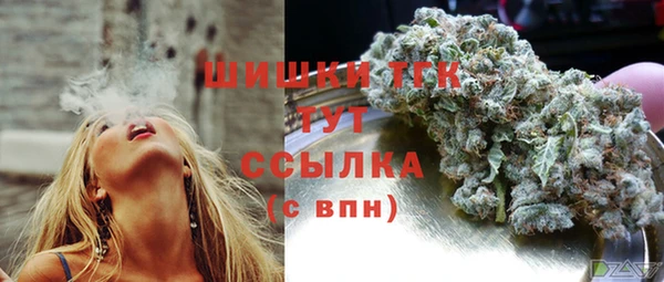 твердый Богородск