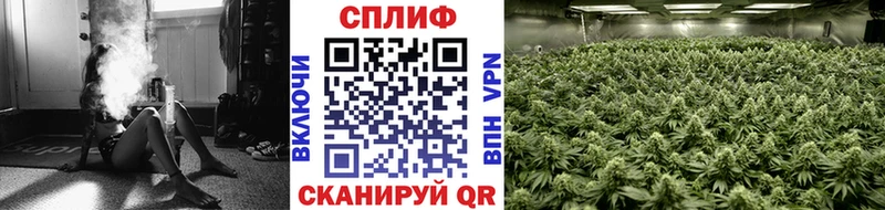 Каннабис Amnesia  дарнет шоп  Очёр 